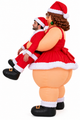 Santa Wife costume side view